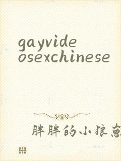 gayvideosexchinese