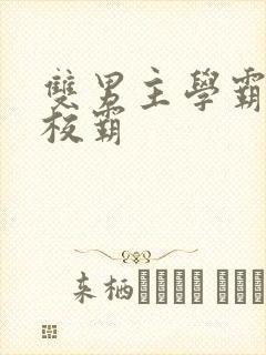 双男主学霸vs校霸