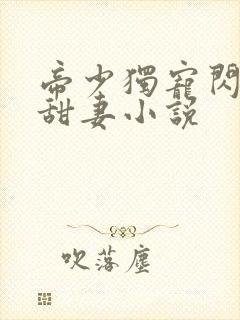 帝少独宠闪婚小甜妻小说封面