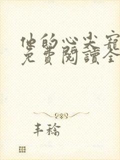 他的心尖宠全文免费阅读全文封面