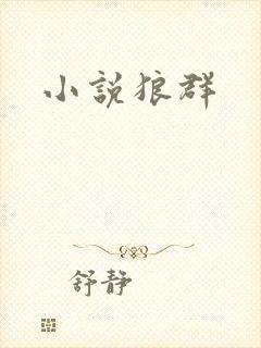 小说狼群