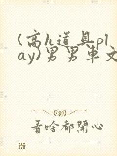 (高h道具play)男男车文