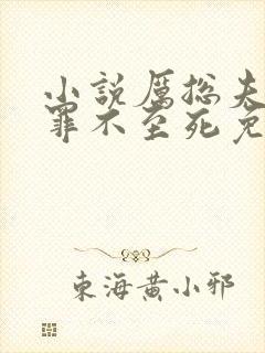 小说厉总夫人她罪不至死免费看