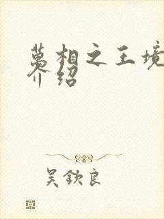 万相之王境界及介绍