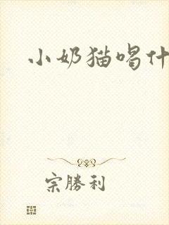 小奶猫喝什么奶封面