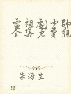 电视剧少帅48全集免费观看在线云