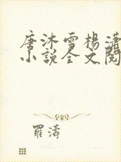 唐沐雪杨潇免费小说全文阅读