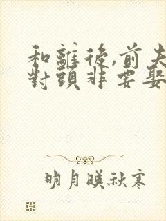 和离后,前夫死对头非要娶我季含漪