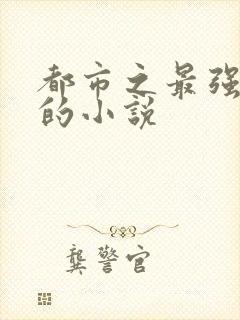 都市之最强狂兵的小说