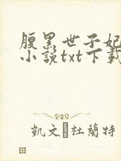 腹黑世子妃日常小说txt下载