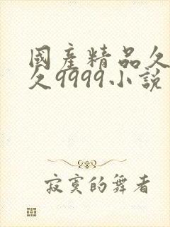 国产精品久久久久9999小说