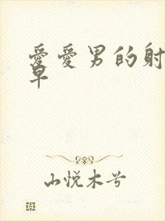 爱爱男的射的太早