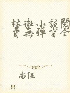 林微小说阅读免费无弹窗全文