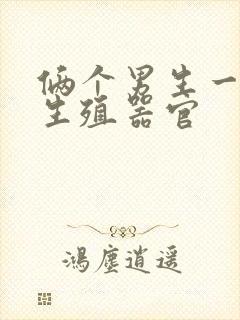 俩个男生一起玩生殖器官