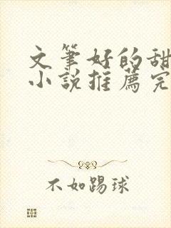 文笔好的甜宠文小说推荐完结