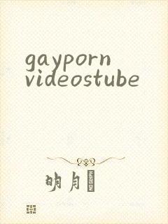 gaypornvideostube封面