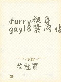 furry裸身gay18禁网站