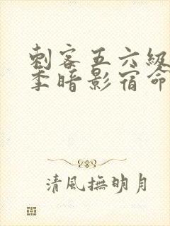 刺客五六级第四季暗影宿命免费观看