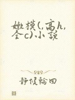 嫩模(,高h,全c)小说