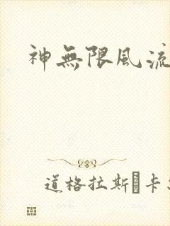 神无限风流封面