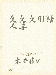 久久久91精品人妻