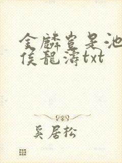 金麟岂是池中物侯龙涛txt封面