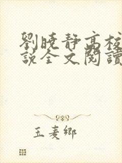 刘晓静高校长小说全文阅读无弹窗封面