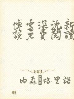 傅云深沈新桐小说免费阅读