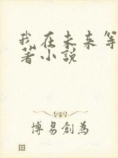 我在未来等你原著小说