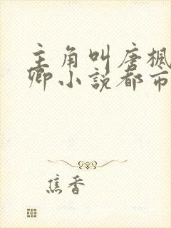 主角叫唐枫秦可卿小说都市