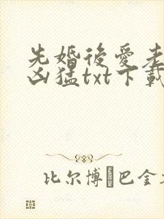 先婚后爱老公很凶猛txt下载