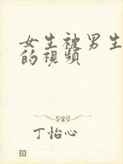 女生被男生操了的视频