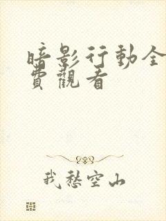 暗影行动全集免费观看封面