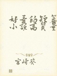 好看的短篇言情小说高质量文笔好