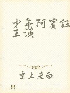 少年阿宾钰慧的主演封面