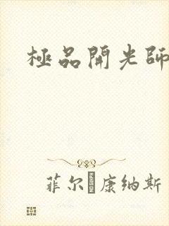 极品开光师封面