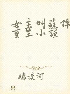 女主叫苏锦瑶的重生小说封面