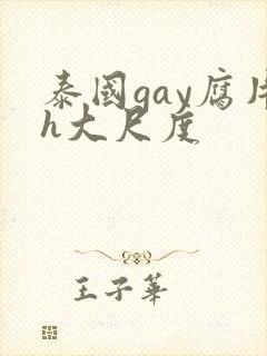 泰国gay腐片h大尺度封面
