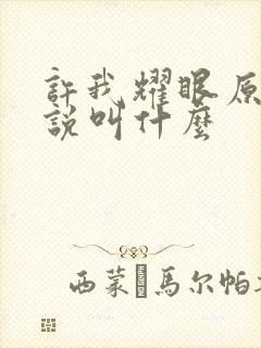 许我耀眼原著小说叫什么封面