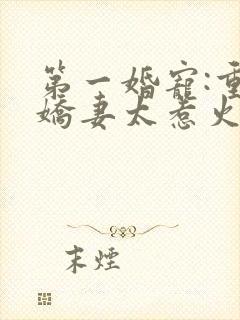 第一婚宠:重生娇妻太惹火 清歌一片