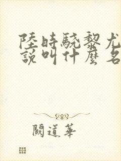 陆时骁黎尤笙小说叫什么名字