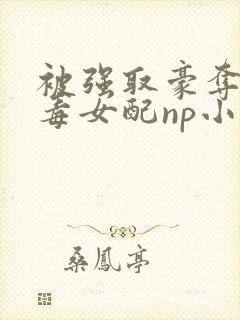 被强取豪夺的恶毒女配np小说在线阅读