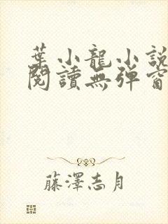 叶小龙小说免费阅读无弹窗