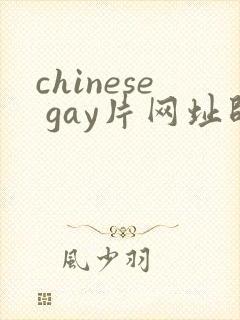 chinese gay片网址帅哥