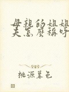 母亲的姐姐的丈夫怎么称呼封面