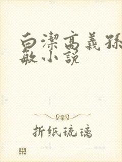 白洁高义孙倩张敏小说封面