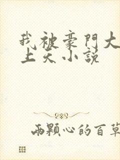 我被豪门大佬宠上天小说