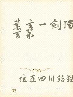 叶玄一剑独尊叶玄第