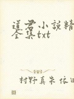 道君小说精校版全集txt