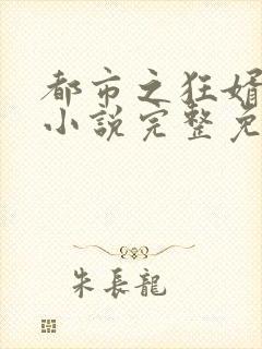 都市之狂婿战神小说完整免费